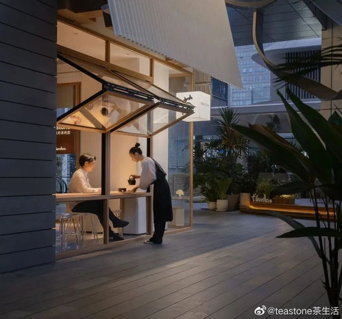 新茶館 以中國茶文化擁抱年輕一代